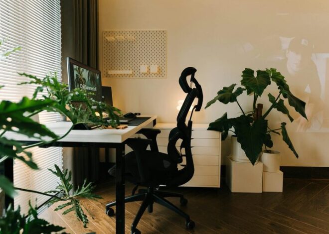 Tips for Creating a Cozy and Functional Home Office Space
