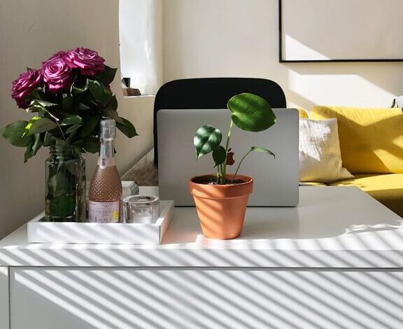 Tips for Creating a Cozy and Productive Home Workspace