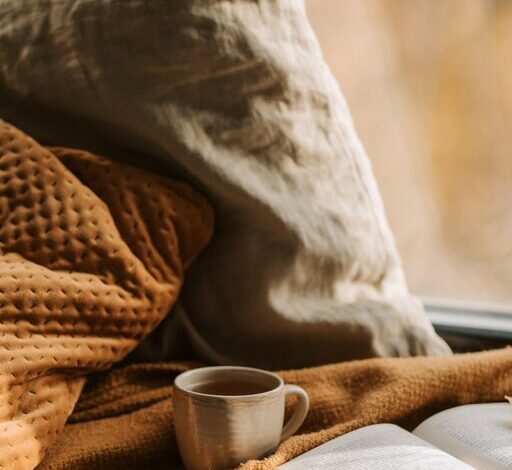 Tips for Creating a Cozy Reading Nook at Home